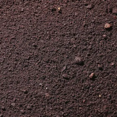 How do microbial bacteria agent remediate soil?   