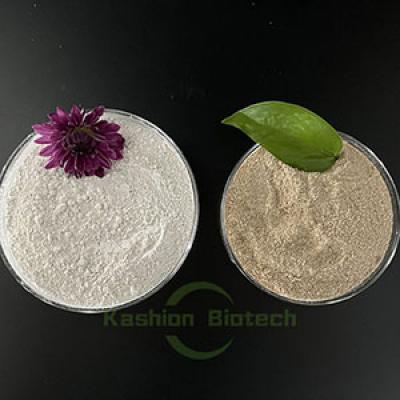 How to choose carbon source for denitrification?