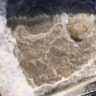What are the basic classifications of sewage?
