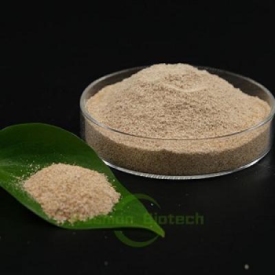 Application of microbial agents in water treatment