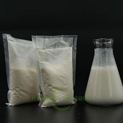 Aerobic Biological Phosphorus Removal Bacteria
