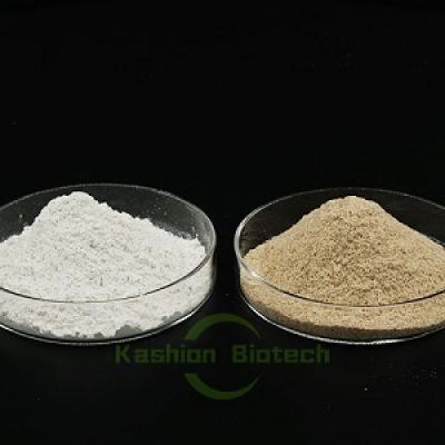 Aerobic biological treatment of organic wastewater