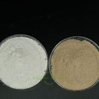 Ammonia removing Bacteria