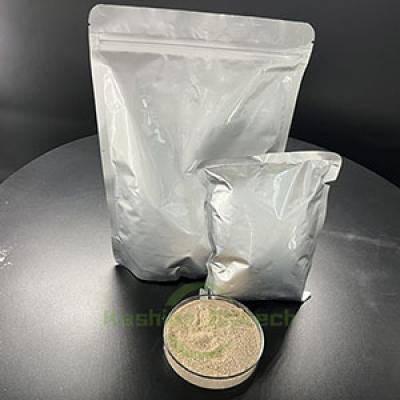 Anaerobic Microorganism Denitrifying Bacteria