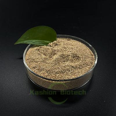 Nature Bacteria for Cleaning Oil