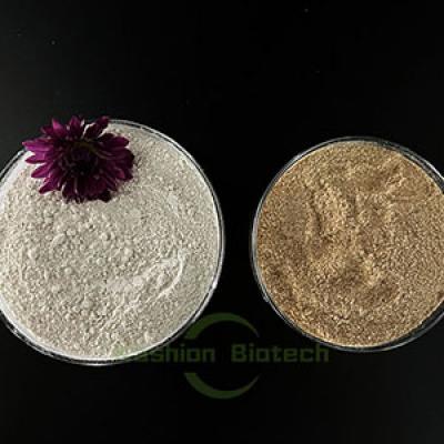 Bacteria for Degrading COD