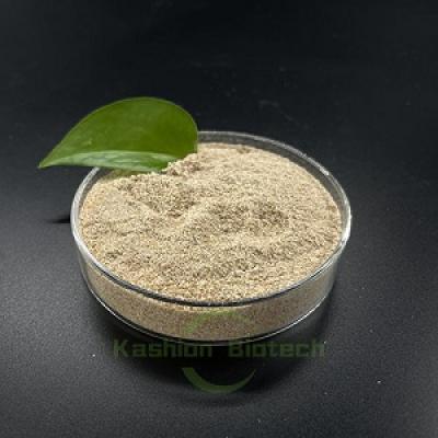 Beneficial COD removal bacteria for papermaking, textile wastewater