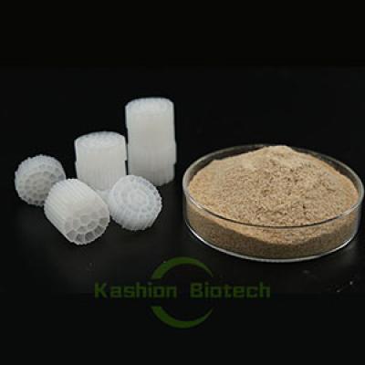Bio Deodorant Bacteria