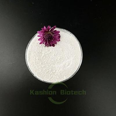 Bio Enzyme Powder Phosphorus Accumulating Bacteria