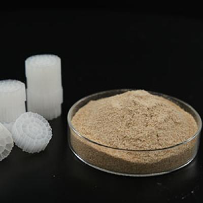 Bio Phosphors Removal Bacteria Enzyme