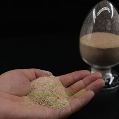 Biological Deodorant Agent Septic Tank Bacteria