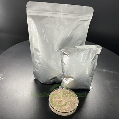 Biological Deodorization Treatment Septic Tank Bacteria