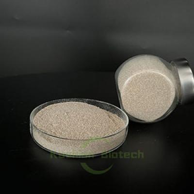 Biozyme Algae Inhibition Bacteria Agent 