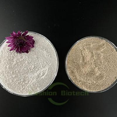  Cleaning COD BOD Live Bacteria Powder