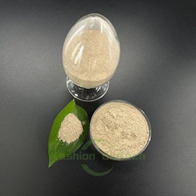 Customized Salt Tolerant Bacteria