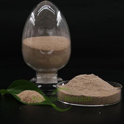 Denitrifying Bacteria Aquaculture Sewage Treatment