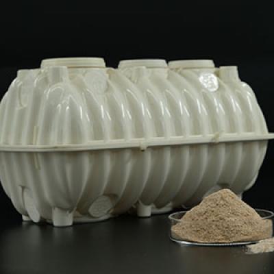 Denitrifying WasteWater Treatment Bacteria