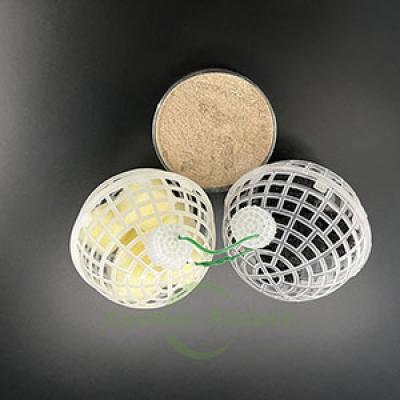 Effective Inhibition Bacteria for Algae