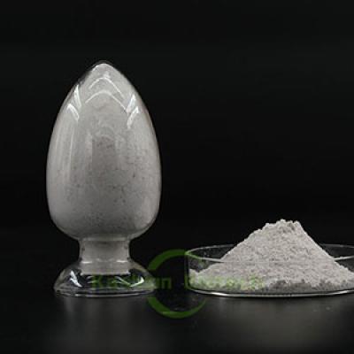 Efficient Phosphorus Removal Bacteria Enzyme 