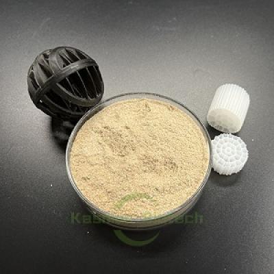 Environmental protection ammonia nitrogen removal enzyme used in industrial wastewater