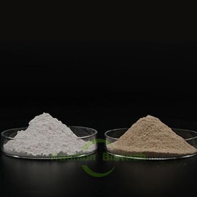 Factory Price Biological Anaerobic Aerobic Bacteria Powder