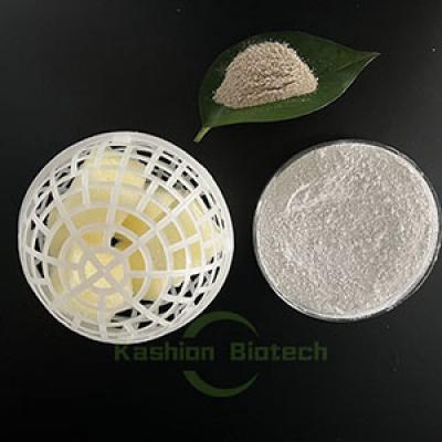 Healthy Bacteria for Wastewater Treatment