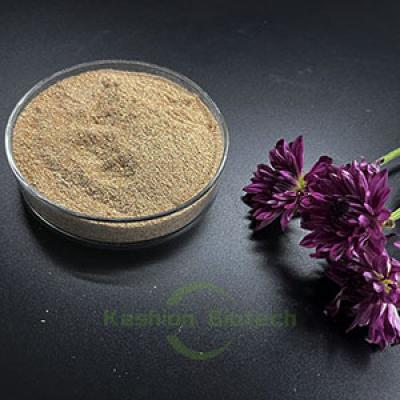 High Efficiency Aerobic Sewage Treatment Bacteria Powder