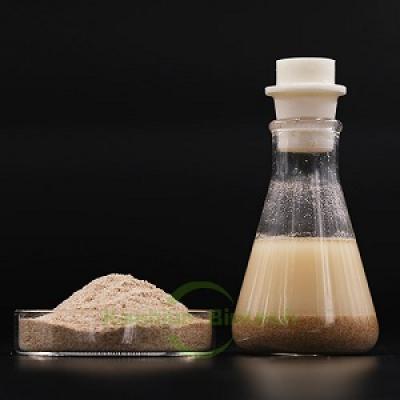 Industrial Sewage breeding plant sewage household sewage toilet deodorization special bacteria