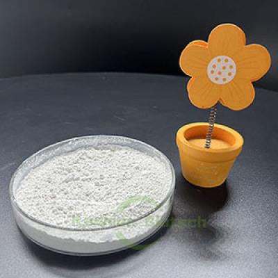 Industrial Wastewater Treatment Nitrifying Bacteria 