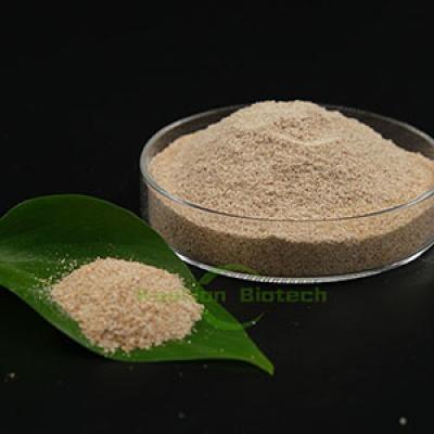 Low Temperature Wastewater Treatment Bacteria