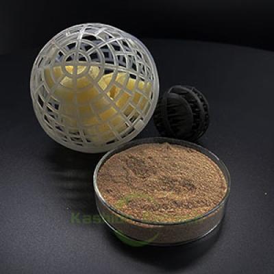 Lysis Bacteria Powder for Grey Water