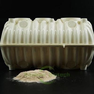 Microbial phosphorus removal bacteria wastewater treatment 