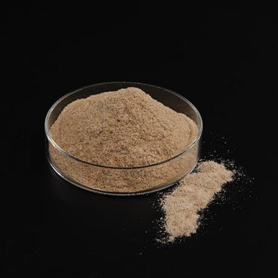 Microorganism Aerobic Enzyme Sewage Treatment Bacteria for Industry Wastewater Treatment