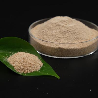 Microorganism Aerobic Enzyme Sewage Treatment Bacteria for Industry Wastewater Treatment