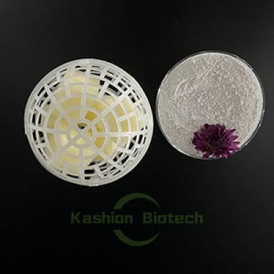 Microorganism Ammonia Removing Bacteria