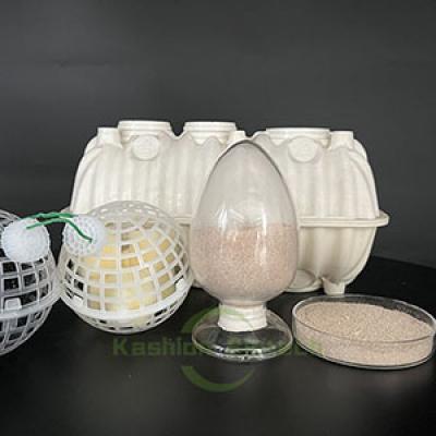 Microorganism Phosphorus Removal Bacteria
