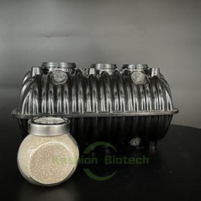 Municipal Sewage Treatment Anaerobic Bacteria