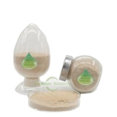 New Customized Denitrifying Bacteria Balls Filtration Medium For Aquarium Water Treatment