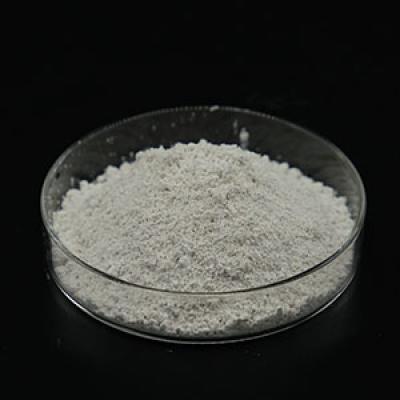 Nitrifying Bacteria Supplier