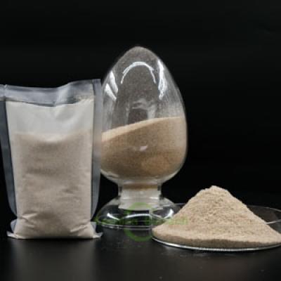 Oil Degrading Microbes