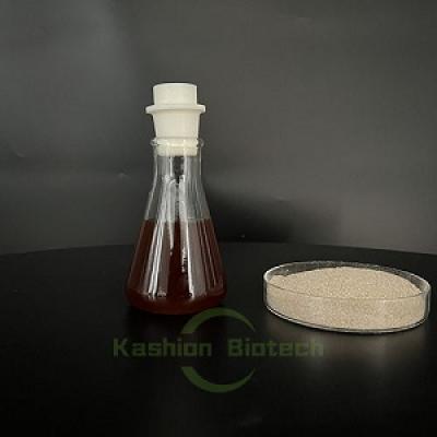 Oil removal bacteria used in wastewater treatment