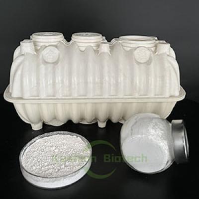 Phosphorus Accumulating Bacteria Sewage Treatment 