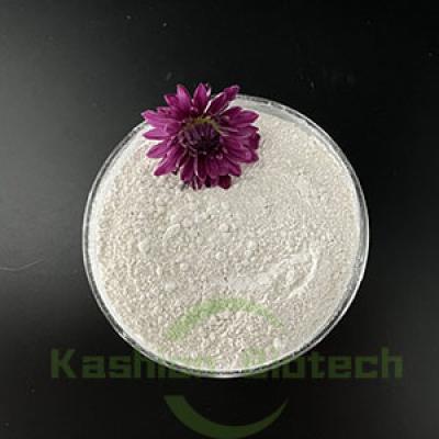 Powder Salt Tolerant Bacteria Enzyme