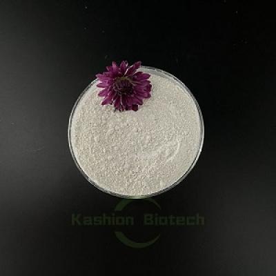 Powder biological aerobic bacteria used in sewage treatment plants