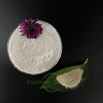 River Rehabilitation BAF Microorganism Bacteria
