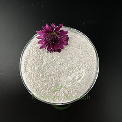 Salty Sewage Treatment Bacteria Powder