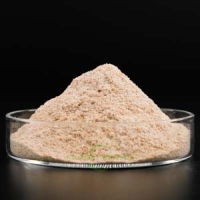 Septic Tank Bacteria