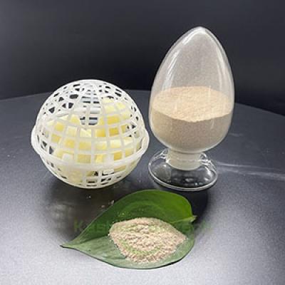 Septic Tank Deodorizer Bacteria