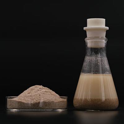 Sewage Treatment Anaerobic Bacteria Enzymes