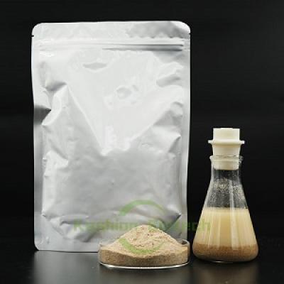 Sludge Digestion Bacteria for River Traetment